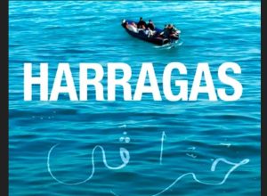 AFLAM CICLO MIGRACIONES - 2