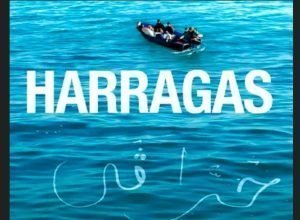 AFLAM CICLO MIGRACIONES - 2