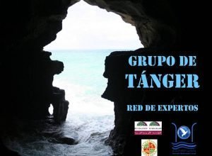 grupo_de_tanger__red_de_expertos_de_consolidacion_de_la_democracia