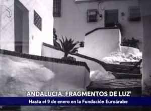 portada Jamal Hammami