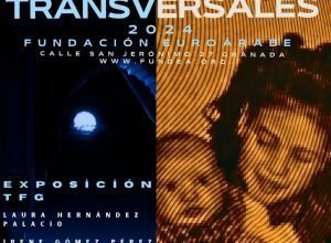 recorte TRANSVERSALES